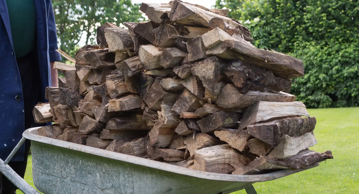 Brennholz: Gute Qualität erkennen und richtig lagern