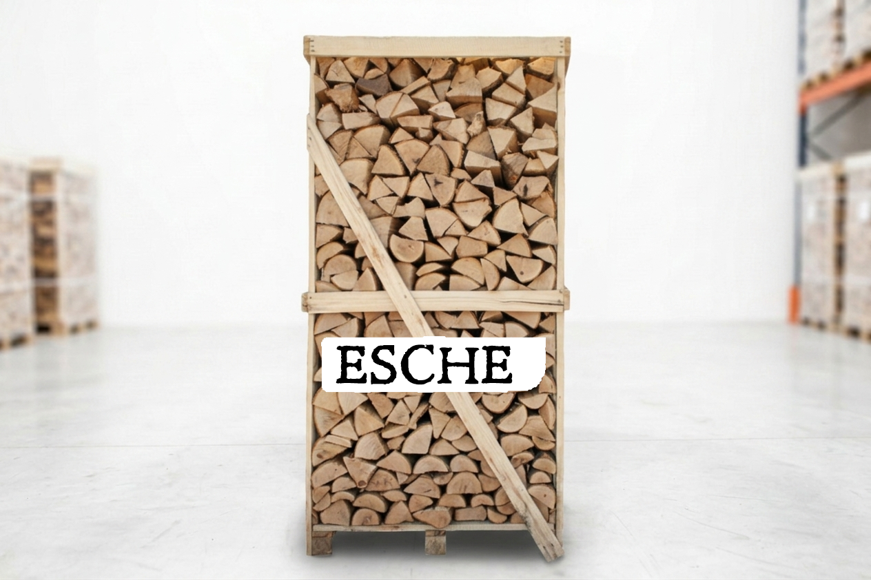 Brennholz Palette – Esche – 30/33 cm – kammergetrocknet – 2 RM